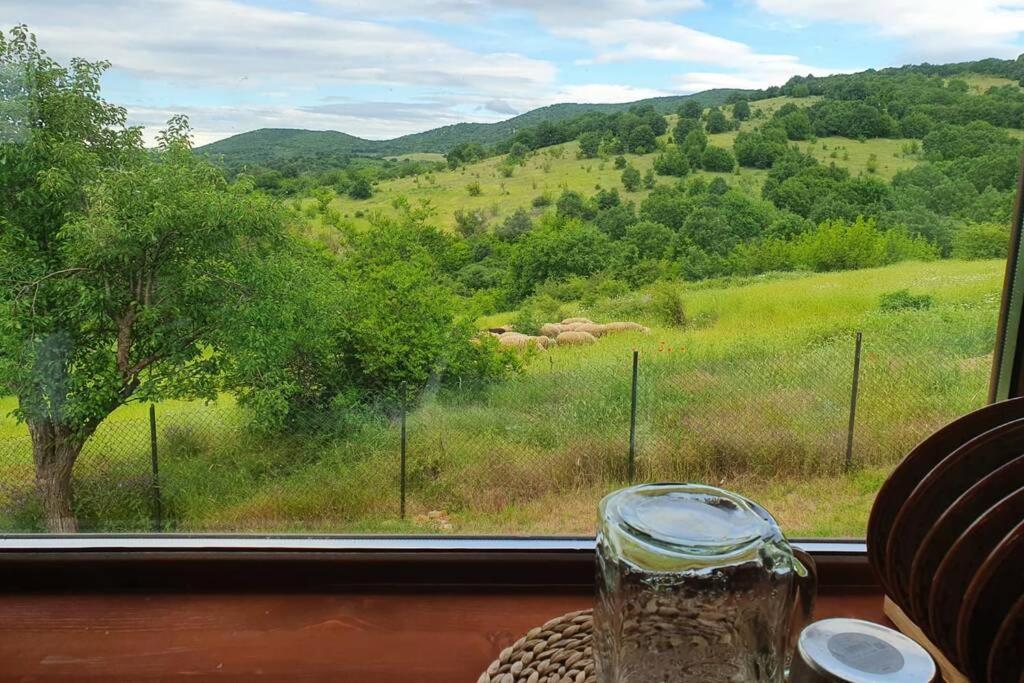 Luxury Villa Bella Lyaskovo Village Extérieur photo